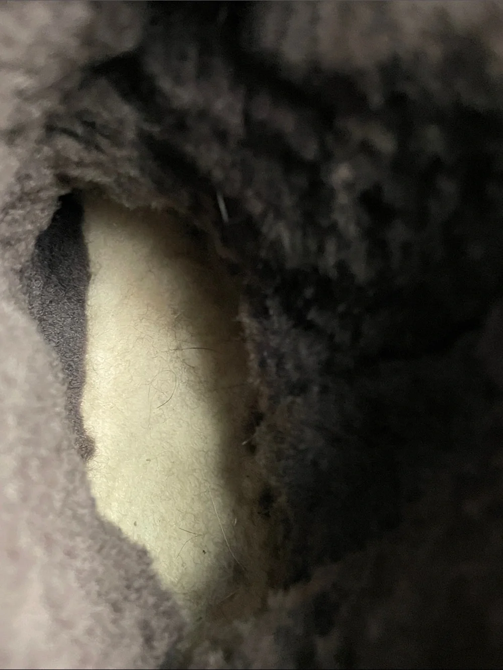 Jumbo UGG Australia Sheepskin Brown Boots